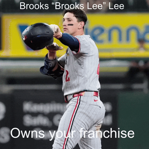 Minnesota Twins GIF