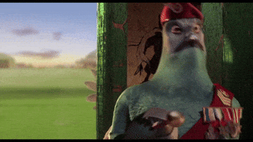 Disney Bird GIF