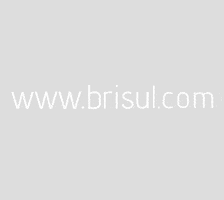 Bri Sul GIF