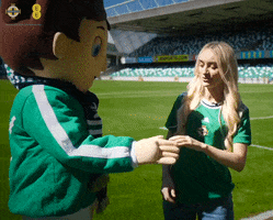 Well Done Yes GIF by Northern Ireland
