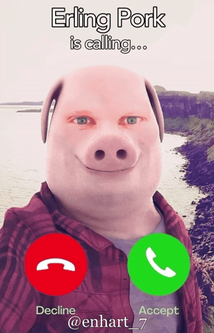 Erling Calling GIF