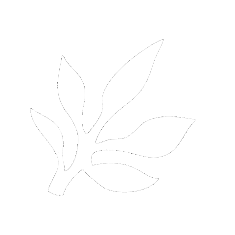 Skincare Waxing Sticker by The Pink Canoe Studio