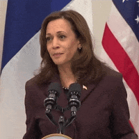 200.gif?cid=fc005b081de25ff3641611d11e44a35ab89b458290bb0fcb&rid=200.gif&ct=g