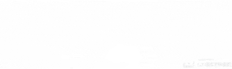 GIF by Nail Patrol