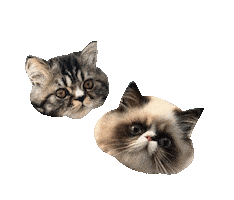 Sticker by Doodle Dogs YYC