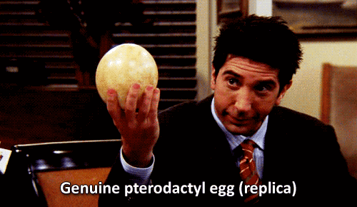 Friends Tv Egg GIF - Find & Share on GIPHY