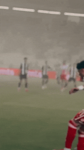 GIF by FK Crvena zvezda