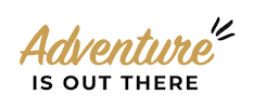 Brayden with Main Street & More Travel Sticker