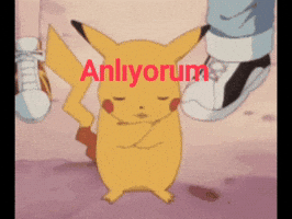 Tm Ok GIF