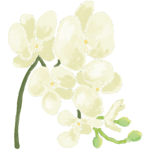 Drfelisflower Sticker by Dr.Felis