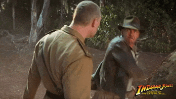 Harrison Ford Fight GIF by Indiana Jones
