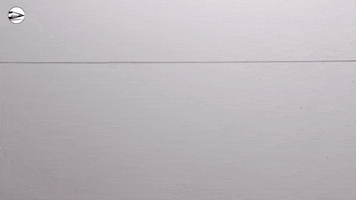 Art Drawing GIF by tom@circlelineartschool.com