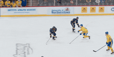 Umd Bulldogs Goal GIF by Hockeyland