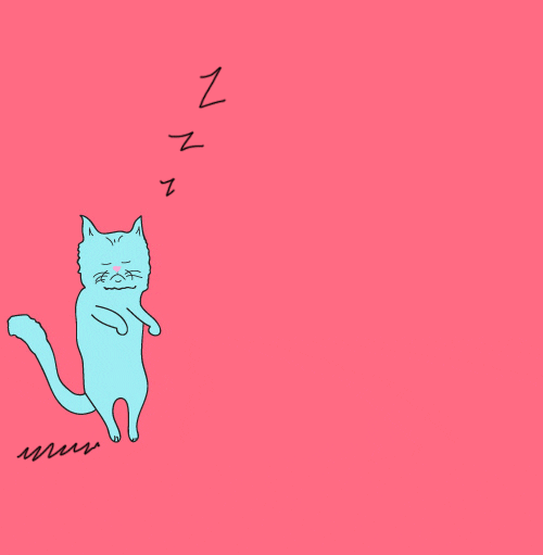Cat Sleepwalking GIF by Jess