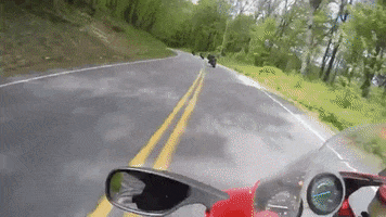 Motorcycles GIF by Gotham Ducati Desmo Owners Club