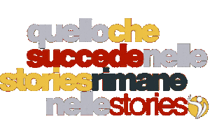 Instagram Stories Sticker by Champion Training Sanda Martial Art