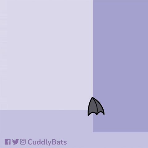 Bat Hello GIF