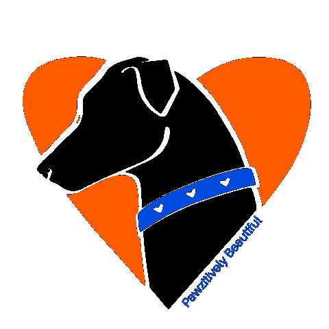 Black Dog Cat Sticker by Pawzitively Beautiful