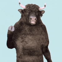 Taureau Gifs Get The Best Gif On Giphy Taureau Gifs Get The Best Gif On Giphy