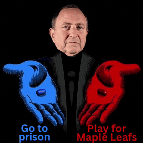 Toronto Maple Leafs Nhl GIF