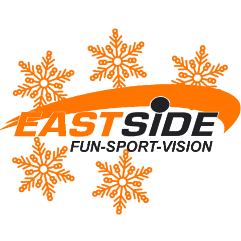 Fun Sport Vision Sticker