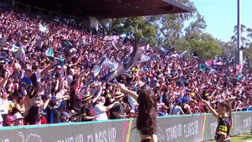 Flags Nrl GIF by Penrith Panthers