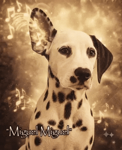 Miguel Adolf GIF