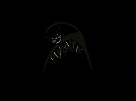 Beckum Rumskedi Schwarzerkater Rumskedikater GIF