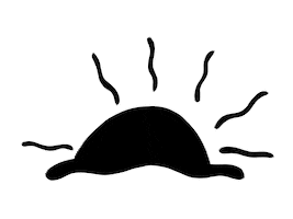 Sun Sunshine Sticker