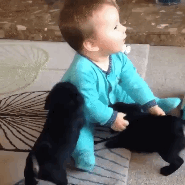 source.gif