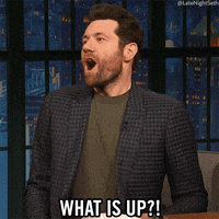 How Are You Doing Whats Up GIF by Late Night with Seth Meyers