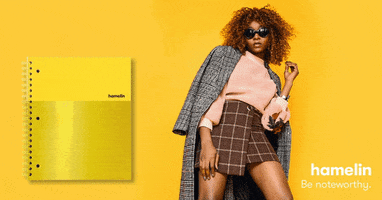 Fashion Notebooks GIF by Hamelin Brands