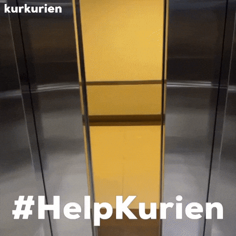 Outstation GIF