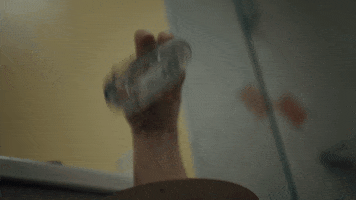 Rosco 5 GIF