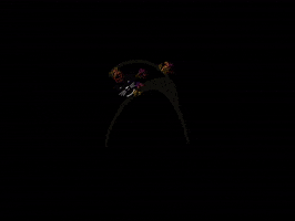 Beckum Rumskedi Schwarzerkater Rumskedikater GIF