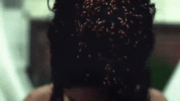 200.gif?cid=fc005b0896a26d34a1c6859ae76bb2a5b00f6e6db403f63c&rid=200.gif&ct=g