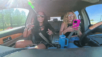Road Trip Miami GIF