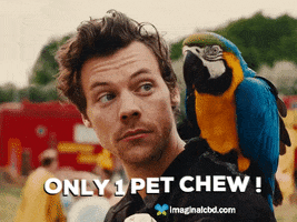 Happy Harry Styles GIF by Imaginal Biotech