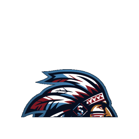 Futbol Americano Nfl Sticker by INDIANS FLAG FOOTBALL