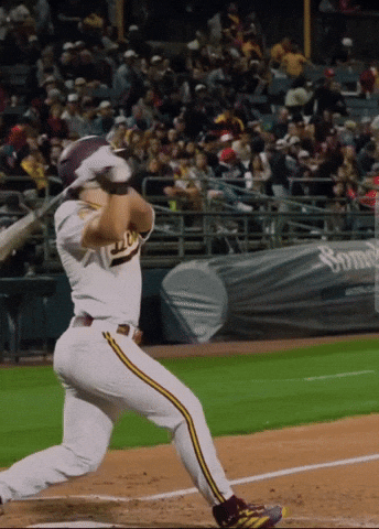 Mississippi State Arizona GIF