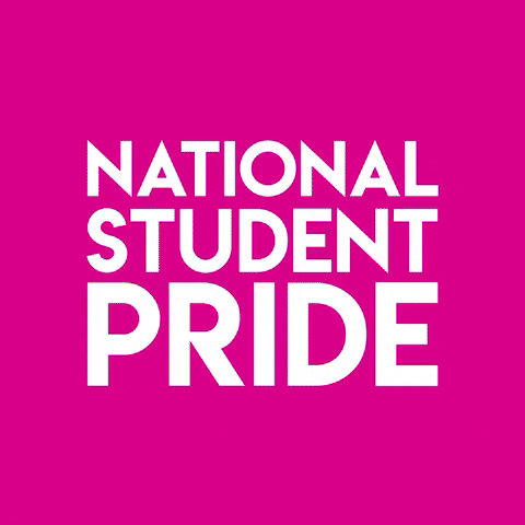 Gay Lgbt GIF by National Student Pride
