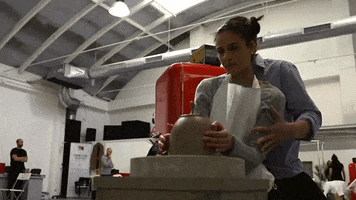 Show Bees GIF