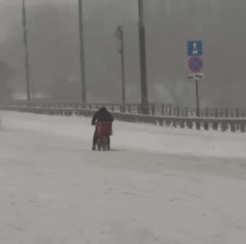 Курьер Dostavka GIF