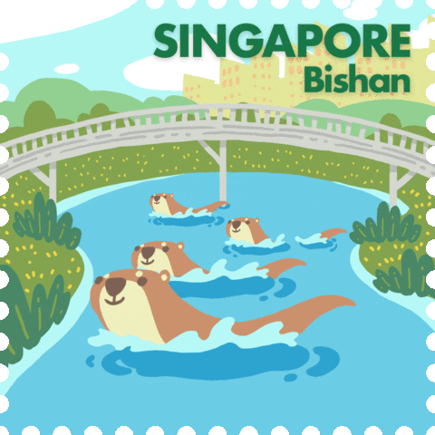 Swim Singapore GIF by MCCYSG