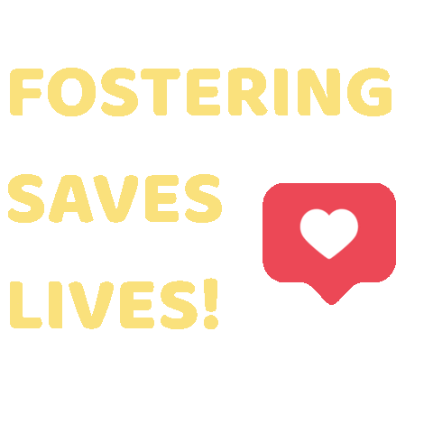 CARE STL Sticker