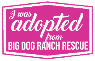 Adopted Dog Sticker by Big Dog Ranch Rescue