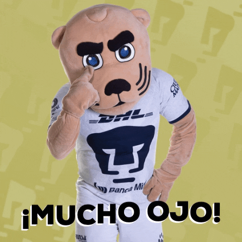 Mucho Ojo GIF by Pumas MX - Find & Share on GIPHY