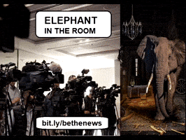 Elephant In The Room GIF