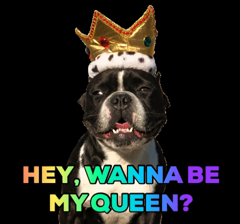 Sexy Dog GIFs - Get the best GIF on GIPHY