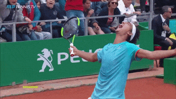 sport yes GIF by Tennis TV